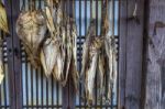 Dried Fish At Dae Jang Geum Park Or Korean Historical Drama In South Korea Stock Photo