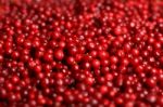 Fresh Cowberry Stock Photo