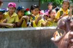 Primary Students Visit The Zoo, In The Jul 27, 2016. Bangkok Thailand Stock Photo