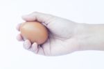 Hand Holding Egg Isolated On White Background Stock Photo