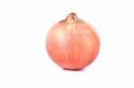 Onion On White Stock Photo