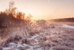 Winter Misty Dawn On The River. Snowflakes, Snowfall. Sunny Wint Stock Photo