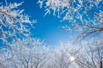 Deogyusan Mountains In Winter, Korea Stock Photo