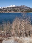 Beautiful Lake, Snow Mountain And Pine Tree Stock Photo