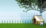 Wooden Dog Kennel Under Tree Shade On Green Grass Meadow With Soccer Ball And White Wooden Fence Stock Photo