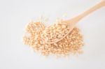 Organic Pet Wheat Grass Seeds Stock Photo