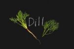 Dill Vegetable Ingredient Nature Fresh Organic Green Blackboard Stock Photo