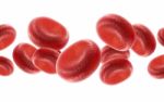 Blood Cells Stock Photo