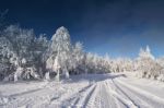 Sunny Cold Winter Day Stock Photo