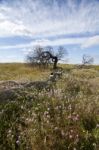 Rural Countryside Stock Photo