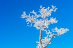 Deogyusan Mountains In Winter, Korea Stock Photo