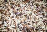 Organic Dry Multi Grain Rice Background Stock Photo