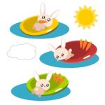 Cartoon Rabbit In The Pool Illustration Stock Photo