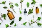 Holy Basil Essential Oil In A Glass Bottle With Fresh Holy Basil Stock Photo