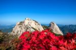 Baegundae Peak And Bukhansan Mountains In Autumn,seoul In South Korea Stock Photo