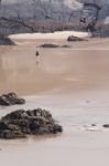 Lonely People Walk On Beach Stock Photo