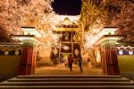 Night Lights Of The Temple In Shangri-la, China Stock Photo