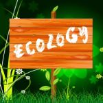 Ecology Eco Indicates Earth Day And Eco-friendly Stock Photo