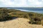 Natural Ria Formosa Marshlands Stock Photo