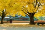 Autumn In Gyeongbokgung Palace,south Korea Stock Photo