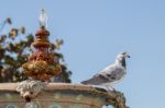 Historical Urban Fountain Stock Photo