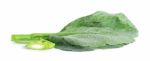 Chinese Broccoli On The White Background Stock Photo