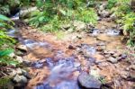 Waterfall In The Forest At Mae Kampong Village Chiang Mai, Thail Stock Photo