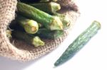 Healthy Okra Chips On Clean Background Stock Photo