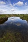 Spring Countryside Water Stream Landscape Stock Photo