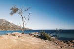 Honeymoon Bay In Freycinet National Park Stock Photo