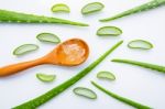 Aloe Vera On White Background Stock Photo