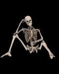 Sitting Skeleton Stock Photo