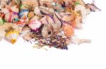 Multicolored Pencil Shavings Stock Photo