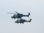 Royal Navy Black Cat Helicopter Display Team Stock Photo