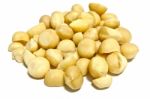 Macadamias Stock Photo