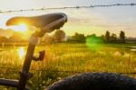 Bike Saddle With Sunray Stock Photo