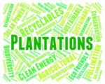 Plantations Word Means Agriculture Ranch And Text Stock Photo