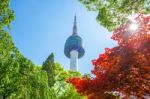 Seoul Tower And Red Autumn Maple Leaves At Namsan Mountain In South Korea Stock Photo