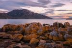 Coles Bay In Freycinet National Park Stock Photo