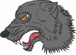 Grey Wolf Head Growling Drawing Stock Photo