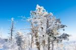 Deogyusan Mountains In Winter, Korea Stock Photo