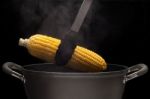 Hot Corn Stock Photo