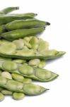 Broad Beans Stock Photo