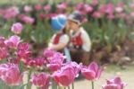 Two Kissing Dolls In Tulip Garden Stock Photo