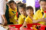 Primary Students Visit The Zoo, In The Jul 27, 2016. Bangkok Thailand Stock Photo