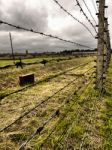 Barbed Wire Fence Stock Photo