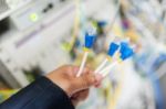 Lan Cable In Network Room Stock Photo