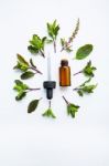 Holy Basil Essential Oil In A Glass Bottle With Fresh Holy Basil Stock Photo