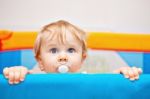 Closeup Of One Year Baby Boy Stock Photo