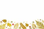 Frame From Yellow Leaves And Dry Leaves And Flower On White Background Stock Photo